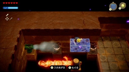 ���������꡼ No.035�Υ���ͥ������ / �ץ쥤����ۤ�����äƤ���֥���������� �ηäΤ����ΡפΥեȥ����ο�������ꥫ���Τγڤ�����̣�臘������ηäȹ��פ�Ť餷��ͷ�Ӥ���