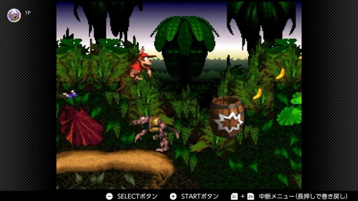 ���������꡼ No.024�Υ���ͥ������ / �Υץ쥤��ݡϡ֥ɥ󥭡����� �꥿����HD�פ�̥�Ϥϡ������٥�������磻��ɤʥ��������Ǿ��ۤ���ã�����������Τ����������Ǥǡ��ָ��⹭���ä�