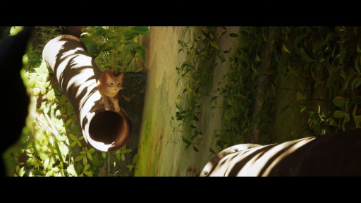 ꡼ No.002 | SwitchǡStrayʥȥ쥤ˡס2024ǯߤȯꡣǭˤʤäƥСƥ褦