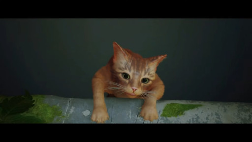 ꡼ No.003 | SwitchǡStrayʥȥ쥤ˡס2024ǯߤȯꡣǭˤʤäƥСƥ褦