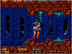 アーケードアーカイブス ラスタンサーガII