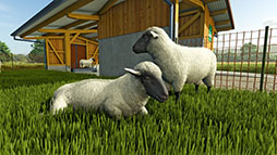 ꡼ No.004 | Farming Simulator 25סʪ֤ơס֥ɥޥפΥȥ쥤顼ƤĹγƤûγƤ2ݤǤ
