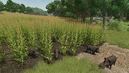 画像ギャラリー No.005のサムネイル画像 / 「Farming Simulator 25」，オランダの農機ブランド「Vredo」やイノシシを追加する拡張パックを配信