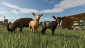 画像ギャラリー No.016のサムネイル画像 / 「Farming Simulator 25」，John Deereの農機が登場する無料DLC第6弾を配信