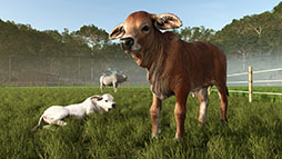 画像ギャラリー No.009のサムネイル画像 / 「Farming Simulator 25」，新大型拡張パック「Beans & Alpacas」を10月27日にリリース。南米を舞台にした農業地域が登場