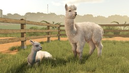 画像ギャラリー No.008のサムネイル画像 / 「Farming Simulator 25」,コンテンツ拡張パック「Beans & Alpacas」の家屋とオブジェクトの情報を公開