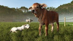 画像ギャラリー No.009のサムネイル画像 / 「Farming Simulator 25」,コンテンツ拡張パック「Beans & Alpacas」の家屋とオブジェクトの情報を公開
