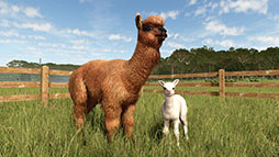 画像ギャラリー No.006のサムネイル画像 / 「Farming Simulator 25」,新DLC「Beans & Alpacas」が登場