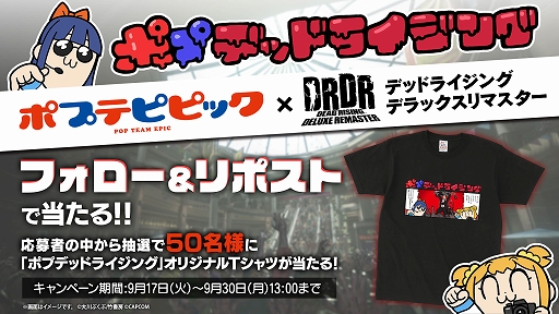 ꡼ No.012Υͥ / ֥ǥåɥ饤 ǥåޥסȡ꡼ȥ쥤顼Ӥդ줫륷åԥ󥰥⡼˶ΤȤ