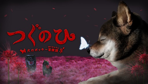 ꡼ No.001 | ¶ԤΥݥå￯ۥ顼֤ĤΤҡפܡۥ顼ADV֤ĤΤ -Υݥå-Steamۿ