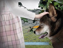 ꡼ No.002 | ¶ԤΥݥå￯ۥ顼֤ĤΤҡפܡۥ顼ADV֤ĤΤ -Υݥå-Steamۿ