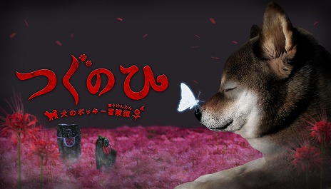 ꡼ No.008 | ¶ԤΥݥå￯ۥ顼֤ĤΤҡפܡۥ顼ADV֤ĤΤ -Υݥå-Steamۿ