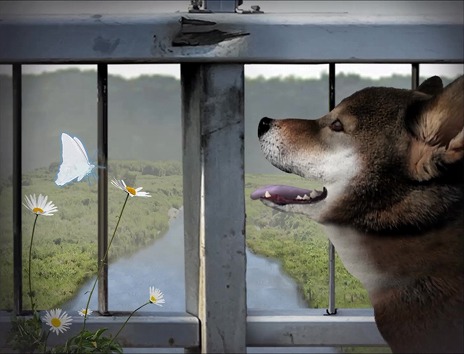 ꡼ No.011 | ¶ԤΥݥå￯ۥ顼֤ĤΤҡפܡۥ顼ADV֤ĤΤ -Υݥå-Steamۿ