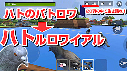 ハトルロワイアル