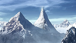 ꡼ No.014 | ͤĤߤβ