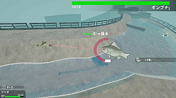 女装フィッシング