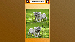 Ǿ���ä��롪���Ӥä����˥ޥ�ְ㤤õ�����֤����ưʪ������Ǿ�ȥ�Ǿ�趵�ܳؽ��ѥ��롼