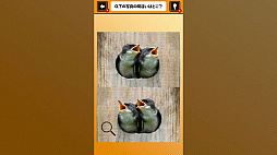 Ǿ���ä��롪���Ӥä����˥ޥ�ְ㤤õ�����֤����ưʪ������Ǿ�ȥ�Ǿ�趵�ܳؽ��ѥ��롼