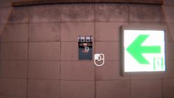 ���������꡼ No.007�Υ���ͥ������ / ��̣�ΰ���ʷ�ϵ��γ���õ�������;λ����Υۥ顼��������ԲĻ�ε�ϩ�ס��ƥ������ȥ쥤�顼�����