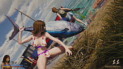 �ǥ����������������ޡ�