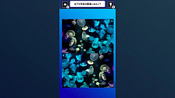 Ǿ���ä��롪�������ʼ̿��Ǵְ㤤õ����������������Ǿ�ȥ�Ǿ�趵�ܳؽ��ѥ��롼