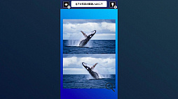 Ǿ���ä��롪�������ʼ̿��Ǵְ㤤õ����������������Ǿ�ȥ�Ǿ�趵�ܳؽ��ѥ��롼