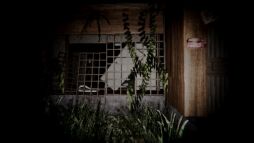 画像ギャラリー No.006のサムネイル画像 / 廃村には奇妙な看板がいっぱい。ホラーウォーキングシミュレータ「看板村」,Steamストアページを公開