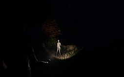 Light
