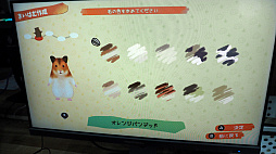 ꡼ No.009Υͥ / åǥåʥϥॹ饤դϤȢ ϥॹۤΤפθTGS2024