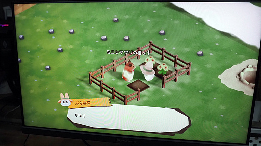 ꡼ No.013Υͥ / åǥåʥϥॹ饤դϤȢ ϥॹۤΤפθTGS2024