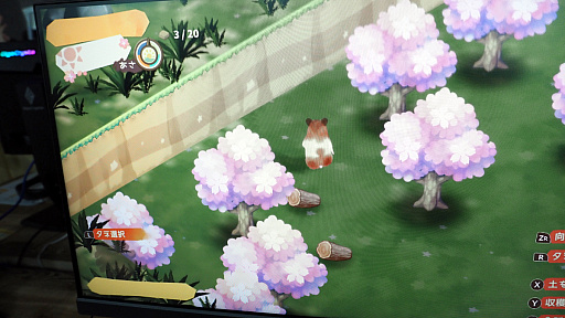 ꡼ No.015Υͥ / åǥåʥϥॹ饤դϤȢ ϥॹۤΤפθTGS2024