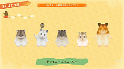 Ȣ������ �ϥॹ���������ۤ�Τ