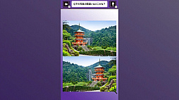 Ǿ���ä��롪�������ʤǴְ㤤õ���� �����ܤ���ʤ�Ǿ�ȥ�ְ㤤õ���������