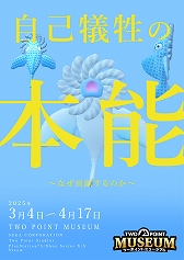 ꡼ No.011Υͥ / إƥʪ۷бĥ֥ġݥȥߥ塼סPS5ȯ䡣ŸʤμǥʤɤԤ̵ͣʪۤ򱿱Ĥ