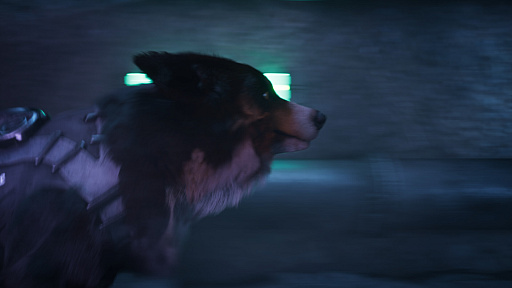 ꡼ No.002 | ˾!?2025ǯ꡼Υƥ륹BarkourפǤϡΥȤ