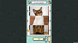 ���뤯��ѥ��뤽�����Ƥͤ������󡼤ʤ�٤Ƥ��󤿤�ˤ�󤳼̿���Ǿ�ȥ컨�ض��ܳؽ������ࡼ