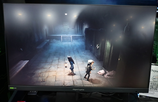 ꡼ No.003 | ֥ȥʥȥᥢפ꤬οREANIMALפϡ¿̤ʥ饢󥰥ˤФTGS2025