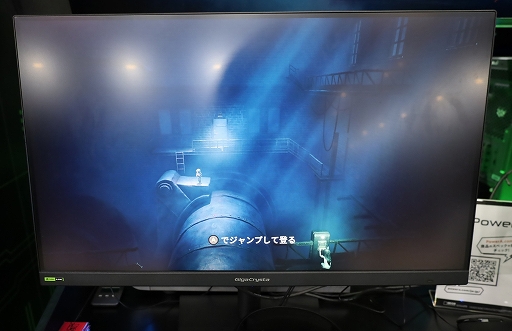 ꡼ No.005 | ֥ȥʥȥᥢפ꤬οREANIMALפϡ¿̤ʥ饢󥰥ˤФTGS2025