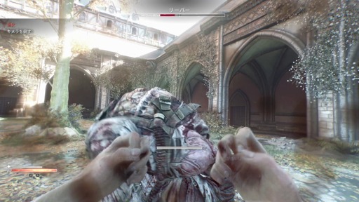 ꡼ No.016 | Υץ쥤ݡϡDying Light: The BeastסӤǼǰӡȥ⡼ɤθ¤ʤΥѥ륯ȻȤΤƤμ֤Ǻǹμͳڤ