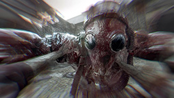 ���������꡼ No.003�Υ���ͥ������ / �֥������󥰥饤�ȡ������ӡ����ȡס�����ȯ�䡣���������֥����ȡ��륦�å��פ�����ˡ������롦���쥤��ο�����ʪ�줬�������