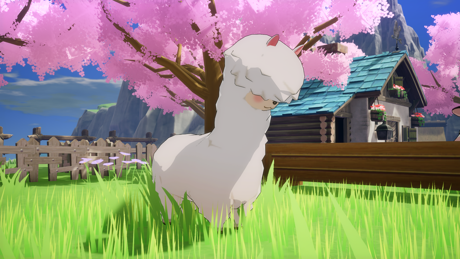 ꡼ No.006 | PCǡζι 롼եȥ꡼ס35󥪥դΥ»档̵ɲåƥġҾʪ Let'sΥɥХפۿ