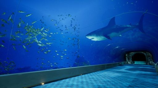 ���������꡼ No.002�Υ���ͥ������ / �Ե�̣�ʿ�²�ۤǰ��Ѥ�õ��û�ԥ��������󥰥��ߥ�졼����8��32���ο�²�ۡס�Steam���ۿ����ϡ�SNS������ˤʤä�����ʪ���о�