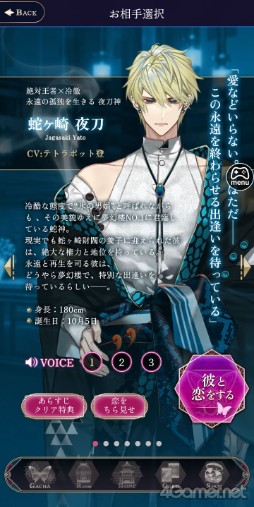 ꡼ No.011 | Υץ쥤ݡϴǽŪĴŤڤʤ⤷ä줿ȥʤΤʪ̴ϰ̲ĳԥץ쥤ݡ