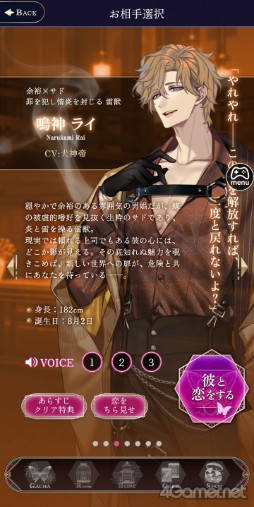 ꡼ No.013 | Υץ쥤ݡϴǽŪĴŤڤʤ⤷ä줿ȥʤΤʪ̴ϰ̲ĳԥץ쥤ݡ