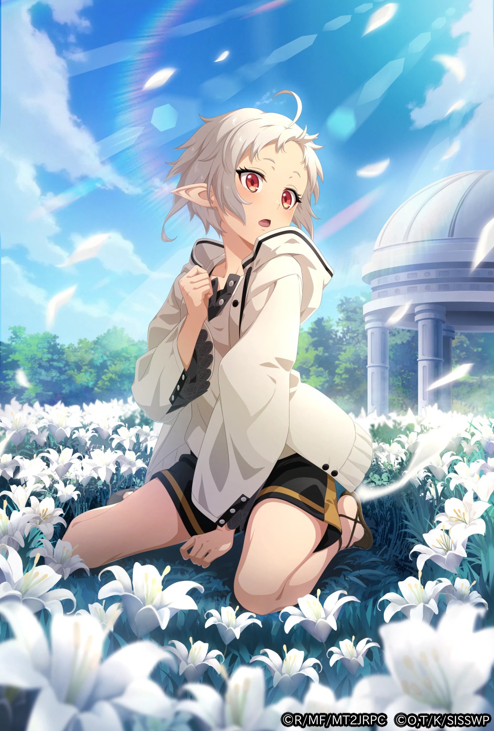 ꡼ No.002 | Ǥʤˤ µܤλۼԡס˥̵ž ԤäܵפȤΥܳ