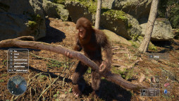 画像ギャラリー No.001のサムネイル画像 / ビッグフットになれるサバイバルシム「Bigfoot Life」,最新トレイラーを公開。ヒーリングスキルで野生動物を治療するシーンも