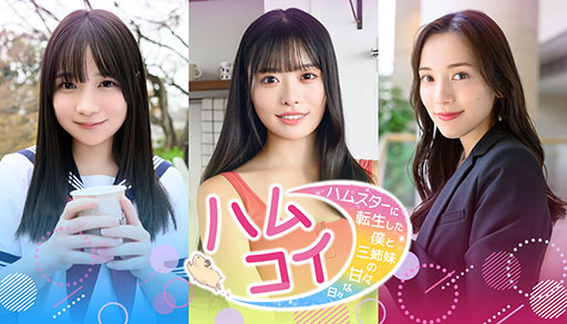 ꡼ No.010 | ֥ե֥׽Υಽʤ䡤ϥॹȤMOCHI-OפθǤSteamǸ