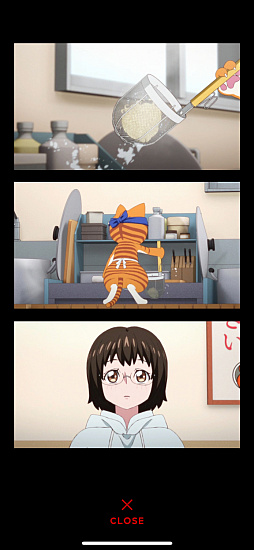 ꡼ No.004Υͥ / Υץ쥤ݡϥ顼󿩤٤Ƥ֥顼ǭ ˥Ũʥ顼Źʢϸɤ⡤