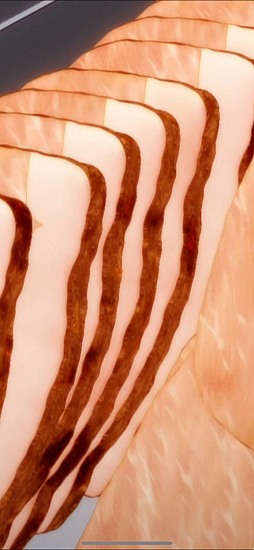 ꡼ No.013Υͥ / Υץ쥤ݡϥ顼󿩤٤Ƥ֥顼ǭ ˥Ũʥ顼Źʢϸɤ⡤