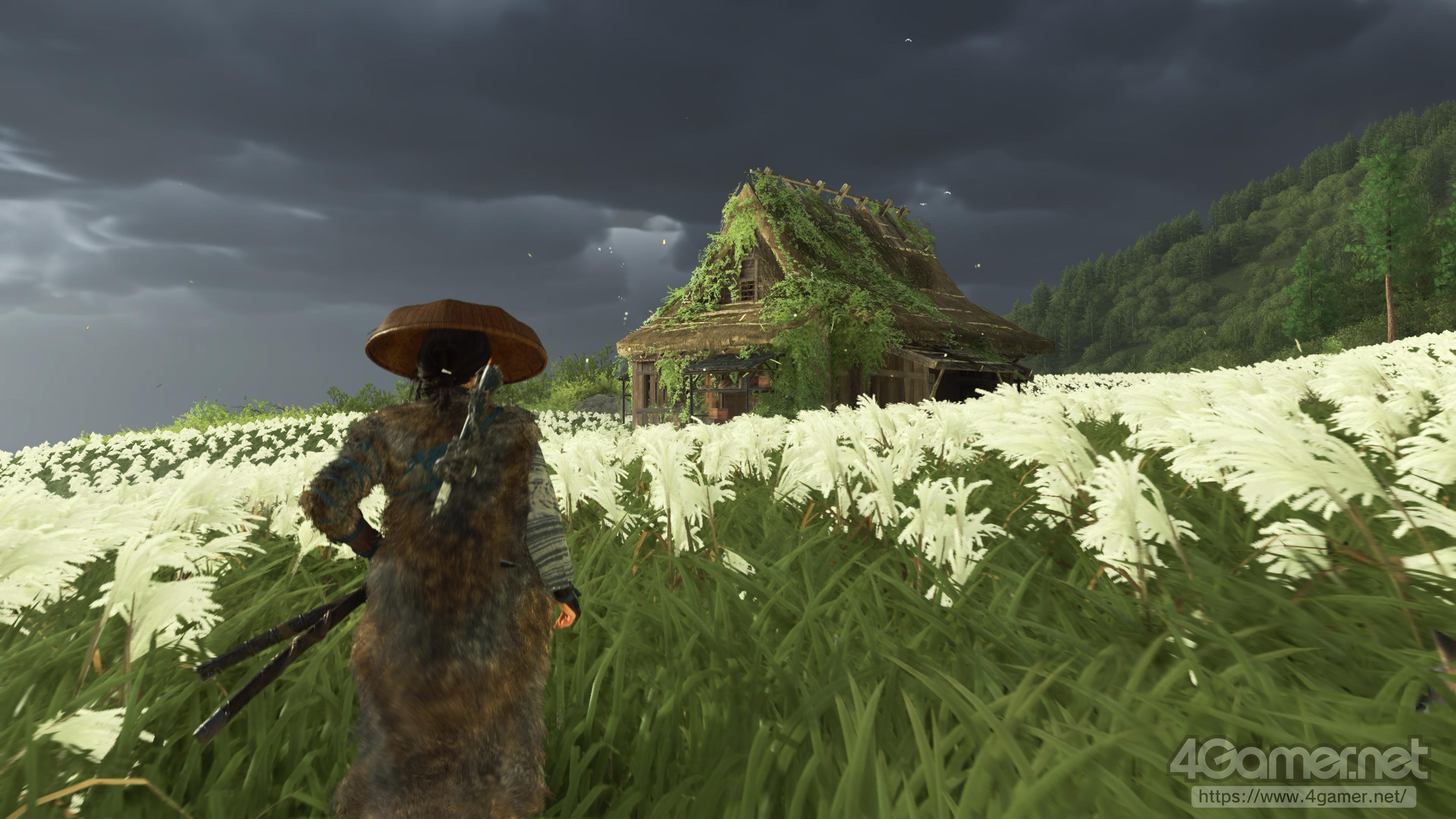 ꡼ No.022 | ʤܰٻΤϤΰΤGhost of Yteiפ⤤Ȥ˸Ƥ롤̤Ϥ͡Ϥʪ